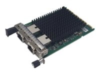 Fujitsu PLAN EP X710-T2L 2 X 10GBASE-T