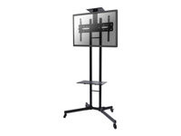 NEOMOUNTS BY NEWSTAR PLASMA-M1700E / Mobile Flatscreen Floor Stand (height: 155-170 cm) / 32-55" / s