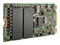Hewlett Packard MIC 7450 3.84TB NVME RI S-STOCK