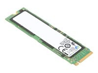Lenovo ThinkPad 2TB Performance PCIe Gen4 NVMe OPAL2 M.2 2280 SSD