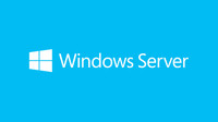 Microsoft SB WIN SERVER STANDARD 2019