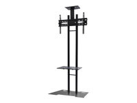 NEOMOUNTS BY NEWSTAR PLASMA-M1700ES / Mobile Flatscreen Floor Stand (height: 155-170 cm) / 32-55" /