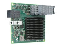 Lenovo DCG Flex System CN4054S 4-port 10Gb Virtual Fabric Adapter SW Upgrade (FOD)