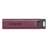 Kingston 1TB USB 3.2 DATATRAVELER MAX