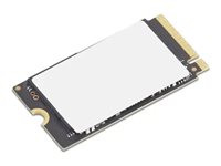 Lenovo ThinkPad 1TB M.2 PCIe Gen4x4 OPAL 2242 internal SSD Gen 2