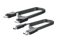 Hewlett Packard 300CM DP USB B-A CABLES