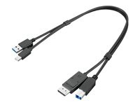 Lenovo ThinkStation mDP USB-A 3.0 to DP USB-B 3.0 Dual Head Cable
