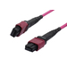 Synergy 21 LWL-MTP -Female Patchkabel OM4 LowLoss ELite 12 Faser Typ B crossed - Kabel - Netzwerk