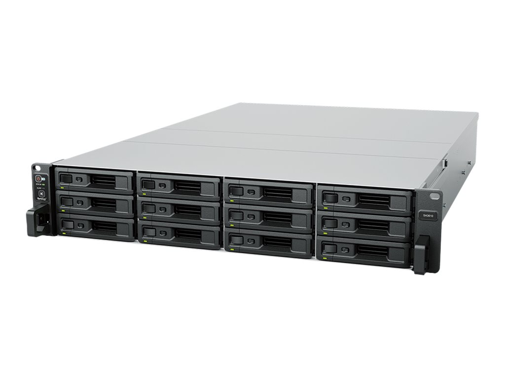 Synology SA3410 - NAS-Server - 12 Schächte