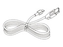 Citizen Druckerkabel - Mini-USB, Typ B (M)