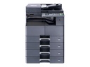 Kyocera TASKalfa 2020 - Multifunktionsdrucker - s/w - Laser - A3/Ledger (297 x 432 mm)