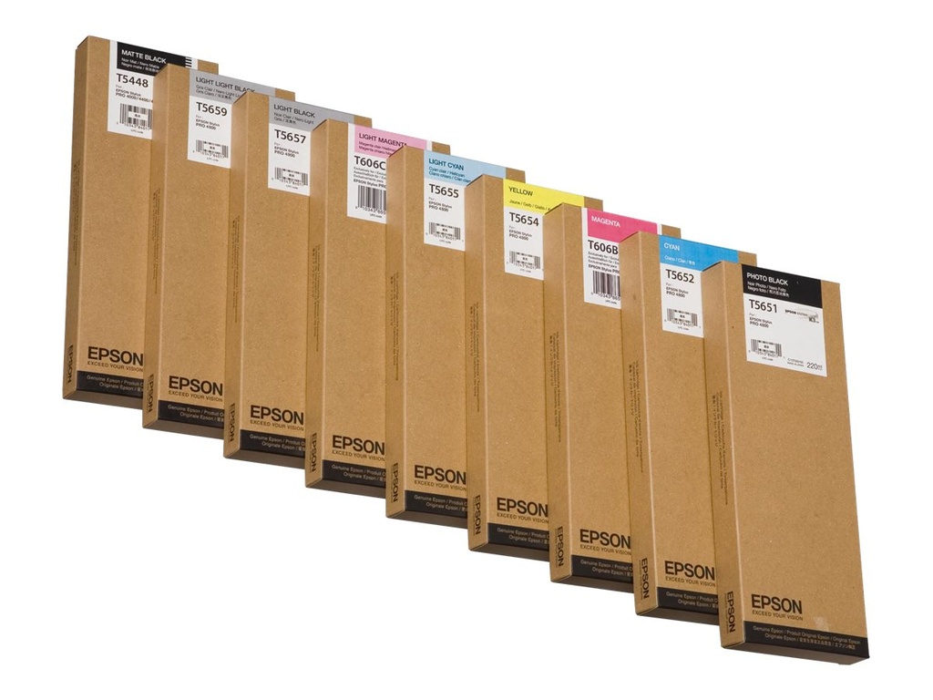 Epson T6061 - Druckerpatrone - 1 x Photo schwarz
