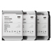 Synology HAS5300 - Festplatte - 8 TB - intern - 3.5" (8.9 cm)