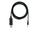 QNAP Audiokabel - USB männlich zu mini-phone