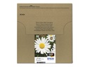 Epson T1806 Easy Mail Packaging - 4er-Pack - 15.1 ml