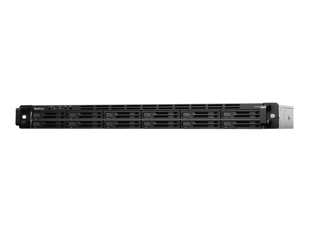 Synology FlashStation FS2500 - NAS-Server - 12