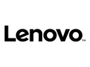 Lenovo Storwize Family for Storwize V5000 Expansion - Easy Tier - (v. 7)