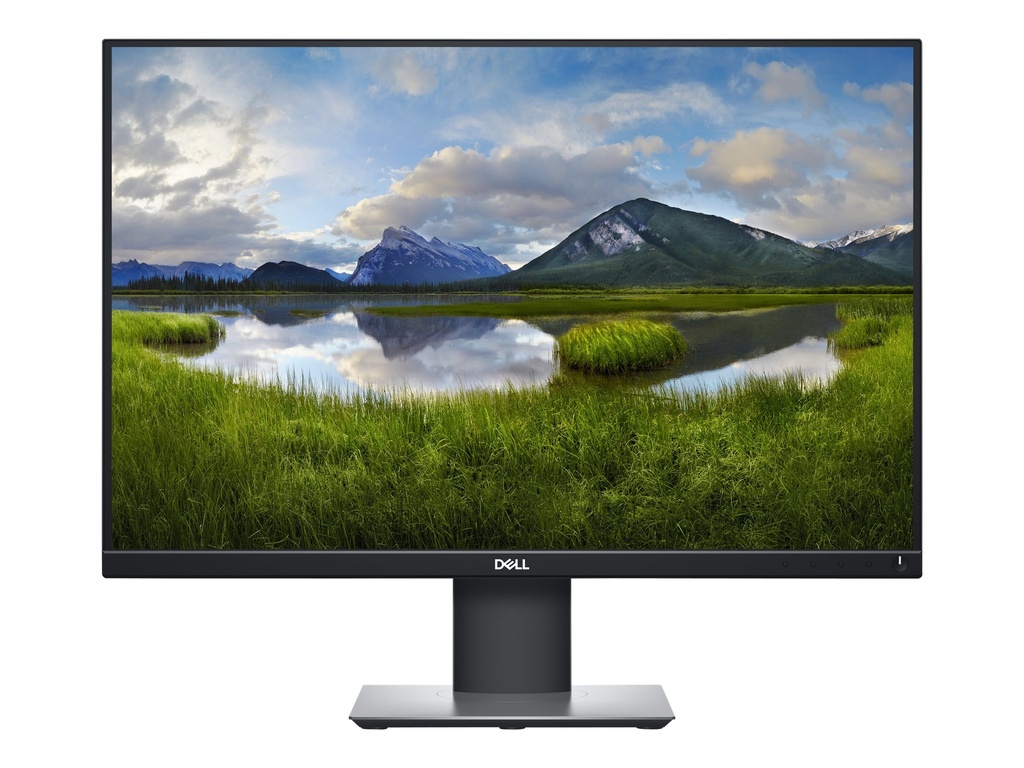 Dell P2421 - LED-Monitor - 61.13 cm (24.1")