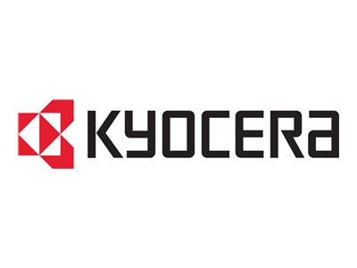 Kyocera IB-38 - Druckserver - USB - für TASKalfa