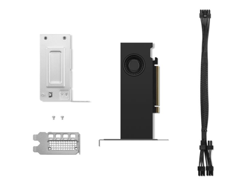 Lenovo NVIDIA RTX 2000 Ada - Grafikkarten - NVIDIA RTX 2000 Ada