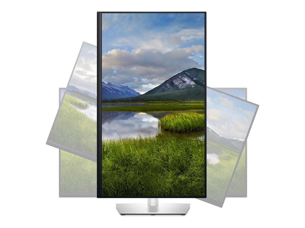 Dell P3223DE - LED-Monitor - 80 cm (31.5") -