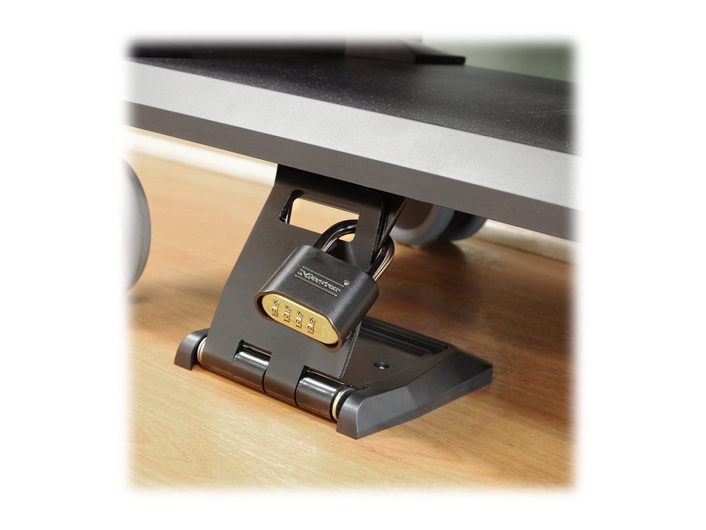 Ergotron Sicherheitskit für Wagen