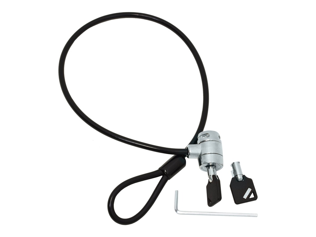 Ergotron CPU Lock Kit - Sicherheitskabelschloss