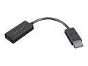 Lenovo Videoadapter - DisplayPort männlich