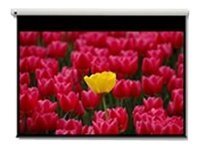 Optoma Panoview DE-9120EGA - Leinwand - motorisiert - 305 cm (120")