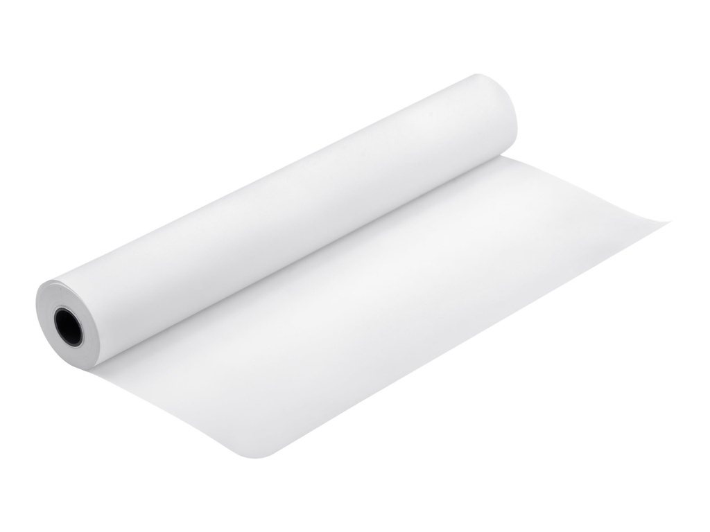 Epson Premium Glossy Photo Paper (250) - Glänzend - Rolle (152,4 cm x 30,5 m)