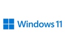 Microsoft Windows 11 Pro N - Box-Pack - 1 Lizenz - Flash-Laufwerk