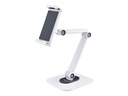 StarTech.com Adjustable Tablet Stand for Desk, Desk/Wall Mountable, Supports Up to 2.2lb, Universal Tablet Stand Holder for Desk, Articulating Tablet Mount with Pivot/Swivel/Rotate - Ergonomic Tablet Stand (ADJ-TABLET-STAND-W)