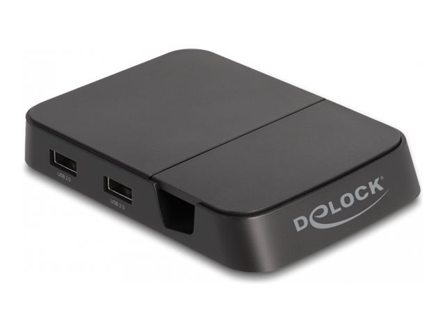 Delock Dockingstation - USB-C / Thunderbolt