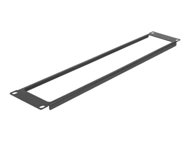 Delock Blindabdeckung - Schwarz - 2U - 48.3 cm (19")