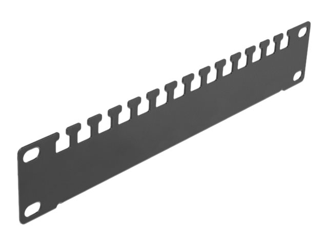 Delock Kabelmanagementschiene - Rack montierbar - Schwarz - 1U - 25.4 cm (10")