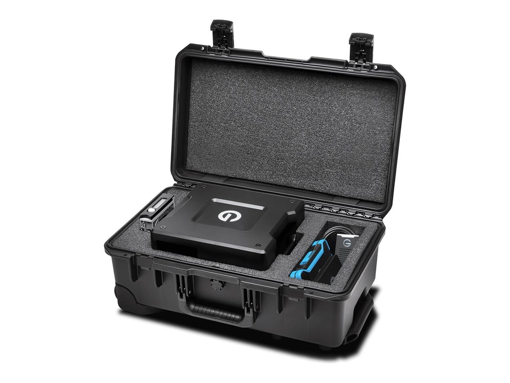 [SDPA4NN-0000-GBSNB] SanDisk G-Technology G-RAID Shuttle Pelican Storm iM2500