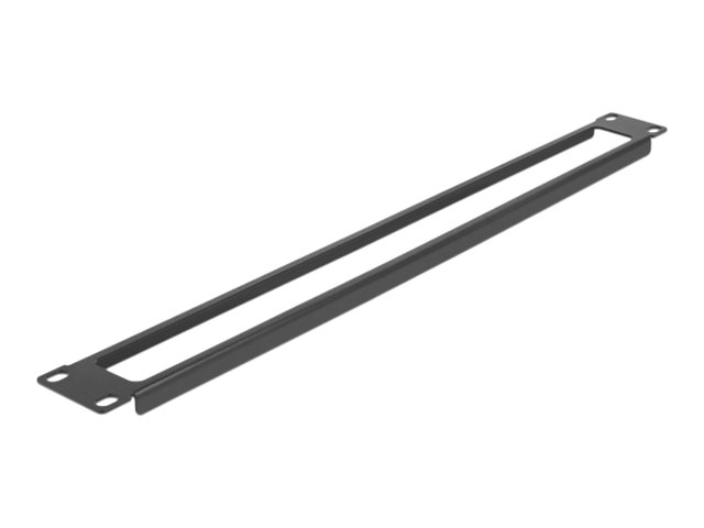 Delock Rackpaneel - mit Öffnung - Schwarz - 1U - 48.3 cm (19")