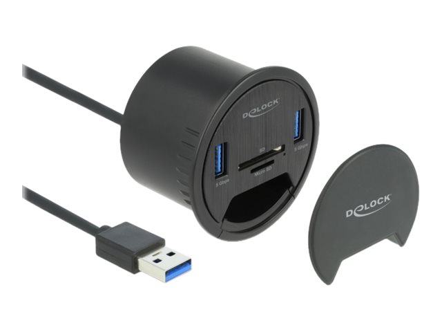 Delock Hub - 2 x USB 3.2 Gen 1 - für Unterputzmontage