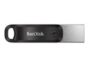 SanDisk iXpand Go - USB-Flash-Laufwerk - 256