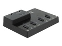 Delock SSD-Dockingstation mit Klon-Funktion Schächte: 4 - M.2 - M.2 NVMe Card - USB 3.2 (Gen 2)