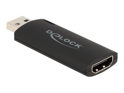 Delock Videoaufnahmeadapter - USB 2.0 - Schwarz