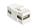 Delock Modularer Einschub (Kopplung) - USB