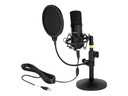 Delock Professional USB Condenser Microphone Set for Podcasting and Gaming