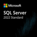 Microsoft SQL Server 2022 - Lizenz - 1 Benutzer-CAL