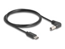 Delock Stromkabel - 24 pin USB-C (M) zu Gleichstromstecker 5,5 x 2,1 mm (M)