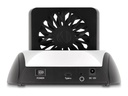 Delock HDD / SSD Dockingstation - 10 Gbps, mit Lüfter mit 8 cm Kühllüfter Schächte: 1 - 2,5" / 3,5" gemeinsam genutzt, M.2 (6,4 cm/8,9 cm gemeinsam genutzt)