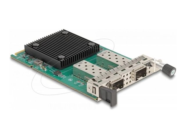 Delock Netzwerkadapter - OCP 3.0 - 10 Gigabit