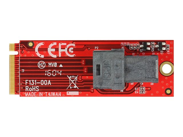 Delock Schnittstellenadapter - SAS 12Gb/s