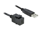 Delock Modulare Eingabe - USB Typ C - Schwarz