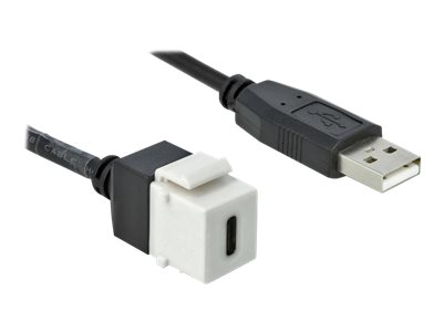 Delock Modulare Eingabe - USB Typ C - weiß